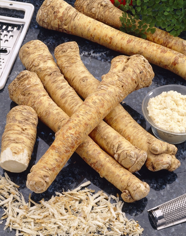 Horseradish