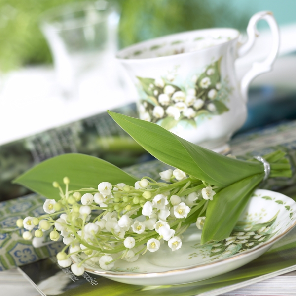 Image Gallery