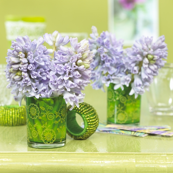 Image Gallery