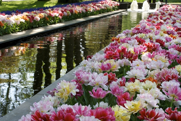 Image Gallery