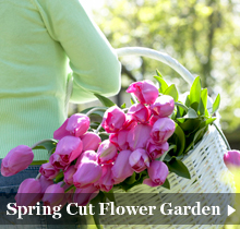 spring cut flower garden