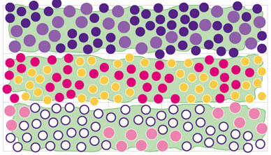 Planting Chart