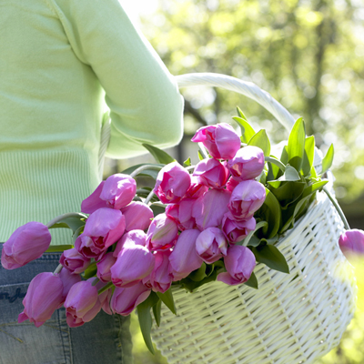 cut flower garden project