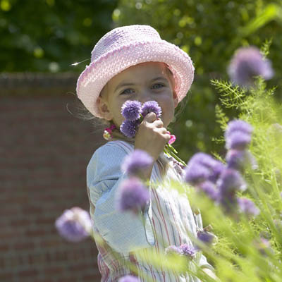 Fragrant Bulb garden project