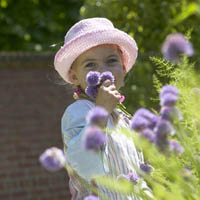 Fragrant Garden Project