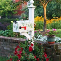 mailbox garden project