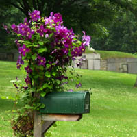 mailbox garden project